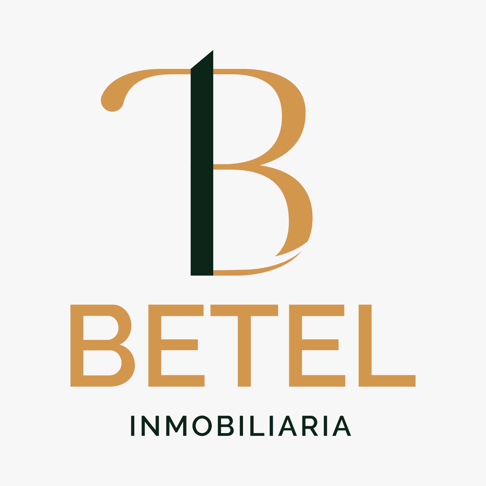 inmobiliariabetel.co