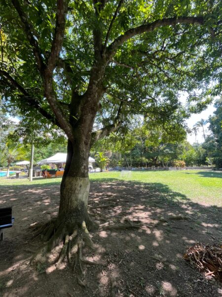Finca Las Gaviotas – En venta | sopetrán, Antioquia